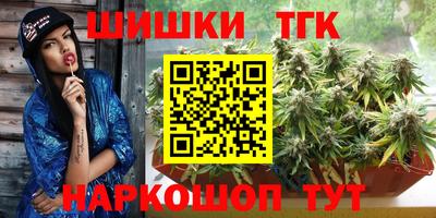 индика Кулебаки